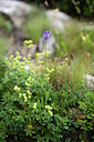 BUITEN BEELD Foto: 362223