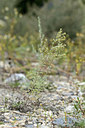 BUITEN BEELD Foto: 362246