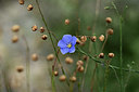 BUITEN BEELD Foto: 362248