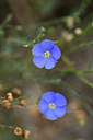 BUITEN BEELD Foto: 362249