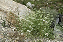 BUITEN BEELD Foto: 362250