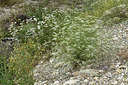 BUITEN BEELD Foto: 362251