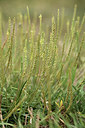 BUITEN BEELD Foto: 362255