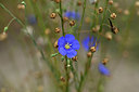 BUITEN BEELD Foto: 362256