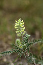 BUITEN BEELD Foto: 362257