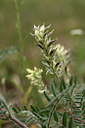 BUITEN BEELD Foto: 362259