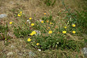 BUITEN BEELD Foto: 362267