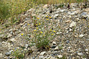 BUITEN BEELD Foto: 362268