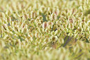 BUITEN BEELD Foto: 362273