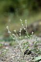 BUITEN BEELD Foto: 362312