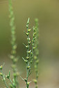 BUITEN BEELD Foto: 362331