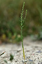 BUITEN BEELD Foto: 362332