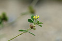 BUITEN BEELD Foto: 362346