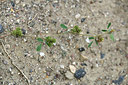 BUITEN BEELD Foto: 362348
