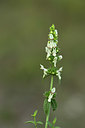 BUITEN BEELD Foto: 362351