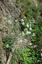 BUITEN BEELD Foto: 362365
