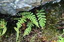 BUITEN BEELD Foto: 362369