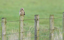 BUITEN BEELD Foto: 362376