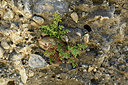 BUITEN BEELD Foto: 362395