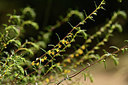 BUITEN BEELD Foto: 362396
