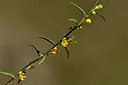 BUITEN BEELD Foto: 362397