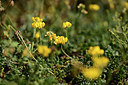 BUITEN BEELD Foto: 362398
