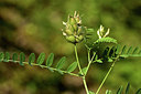BUITEN BEELD Foto: 362419