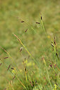 BUITEN BEELD Foto: 362425