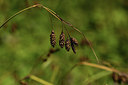 BUITEN BEELD Foto: 362433