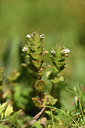 BUITEN BEELD Foto: 362441