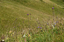 BUITEN BEELD Foto: 362443