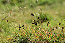 BUITEN BEELD Foto: 362444