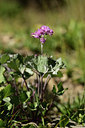 BUITEN BEELD Foto: 362450