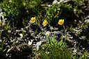 BUITEN BEELD Foto: 362452