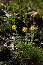 BUITEN BEELD Foto: 362453