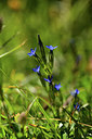 BUITEN BEELD Foto: 362454