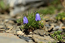 BUITEN BEELD Foto: 362459