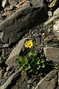 BUITEN BEELD Foto: 362460