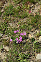 BUITEN BEELD Foto: 362462