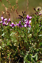 BUITEN BEELD Foto: 362469