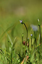 BUITEN BEELD Foto: 362475