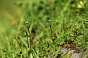 BUITEN BEELD Foto: 362477
