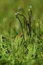 BUITEN BEELD Foto: 362478