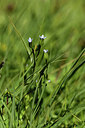 BUITEN BEELD Foto: 362479