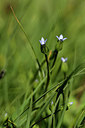 BUITEN BEELD Foto: 362480