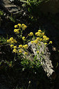 BUITEN BEELD Foto: 362482