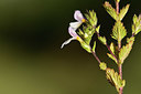 BUITEN BEELD Foto: 362501