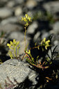BUITEN BEELD Foto: 362506