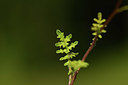 BUITEN BEELD Foto: 362508