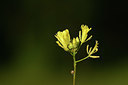 BUITEN BEELD Foto: 362509